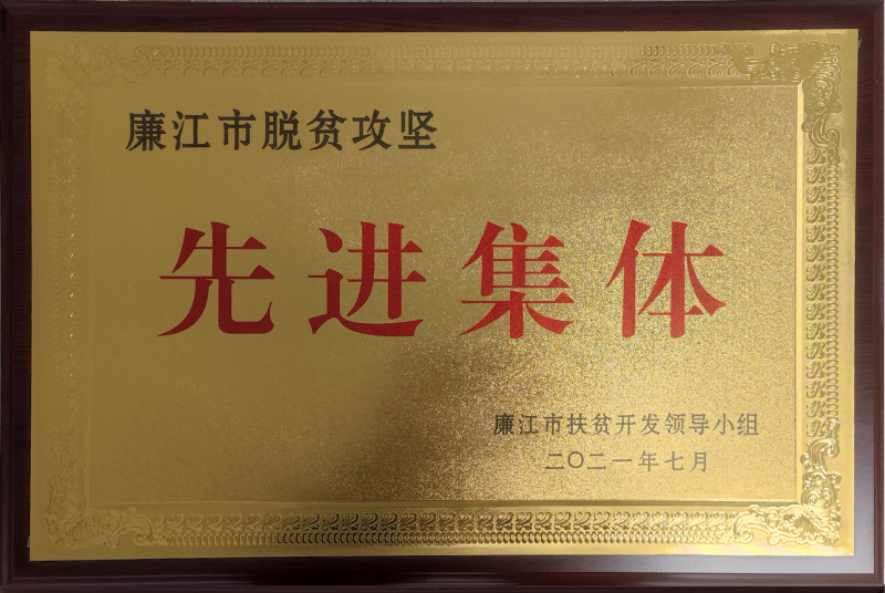 2021年廉江市脫貧攻堅先進集體.jpg
